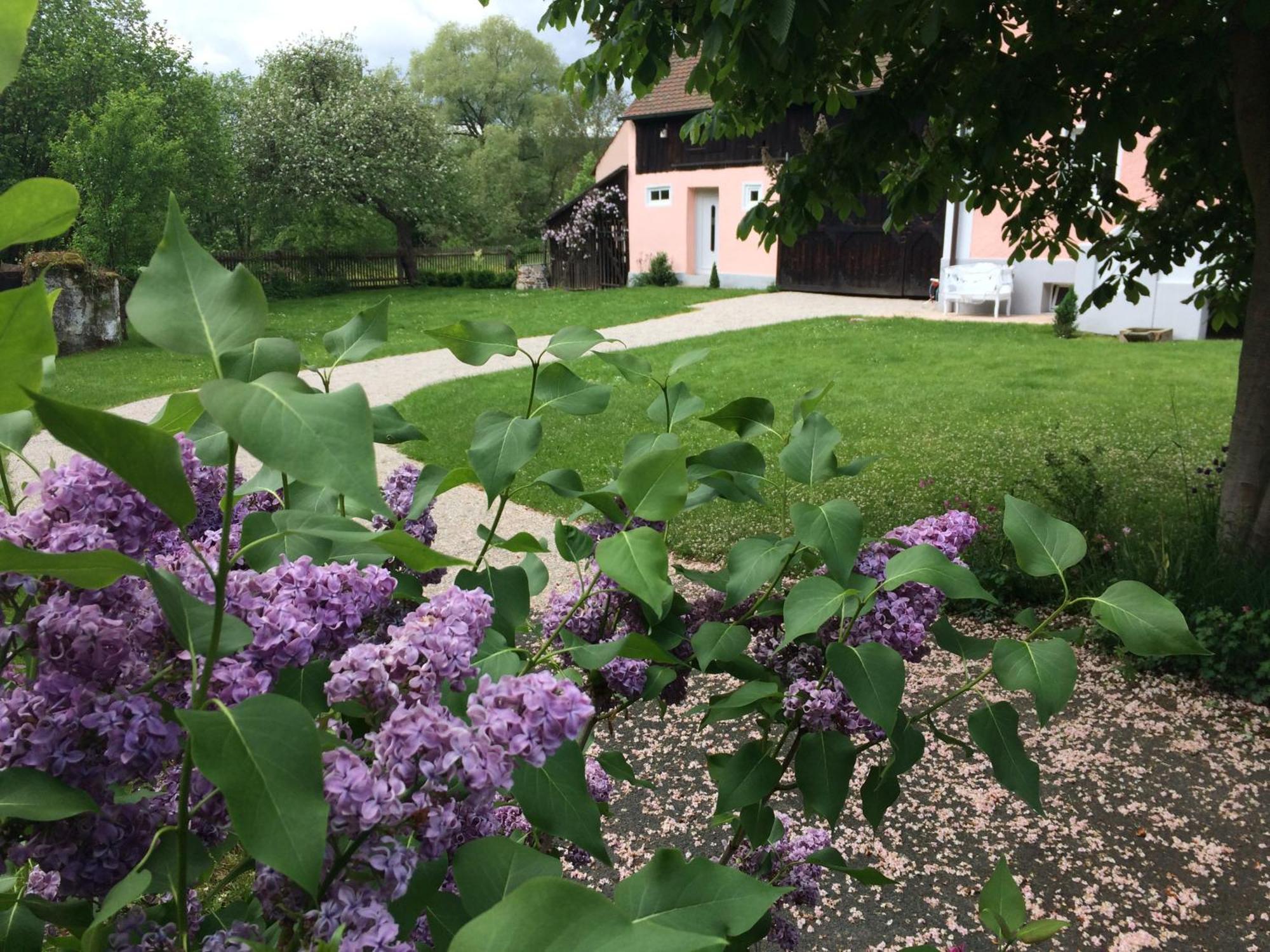 Schnabelwaid Landhaus Am Schloss מראה חיצוני תמונה