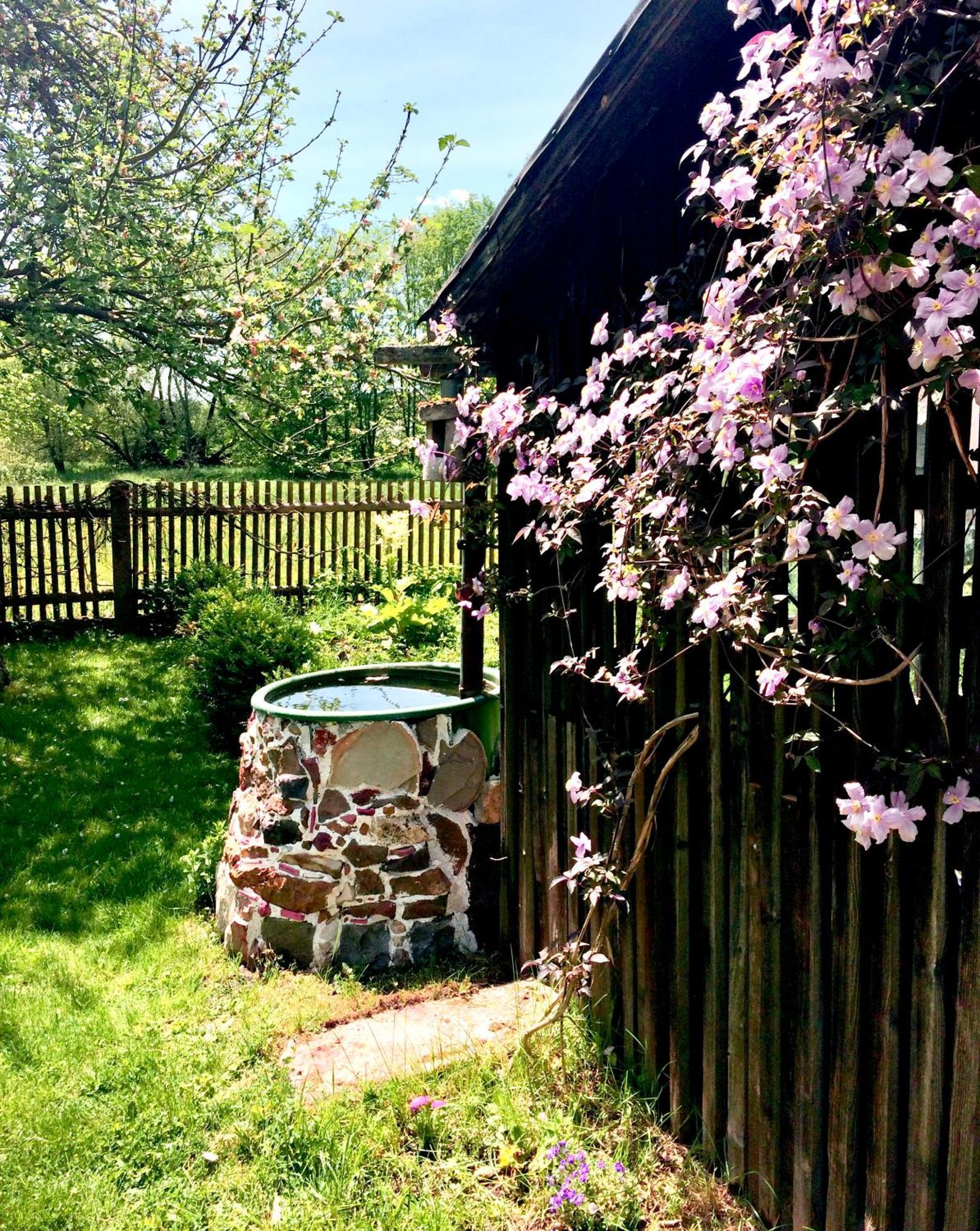 Schnabelwaid Landhaus Am Schloss מראה חיצוני תמונה